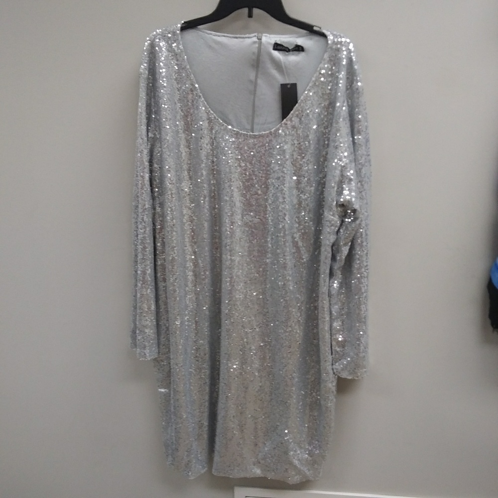 NWT Lookbook Long Sleeve Silver Sequin Dress